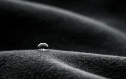 THE GORE TEX WOOL HOOD